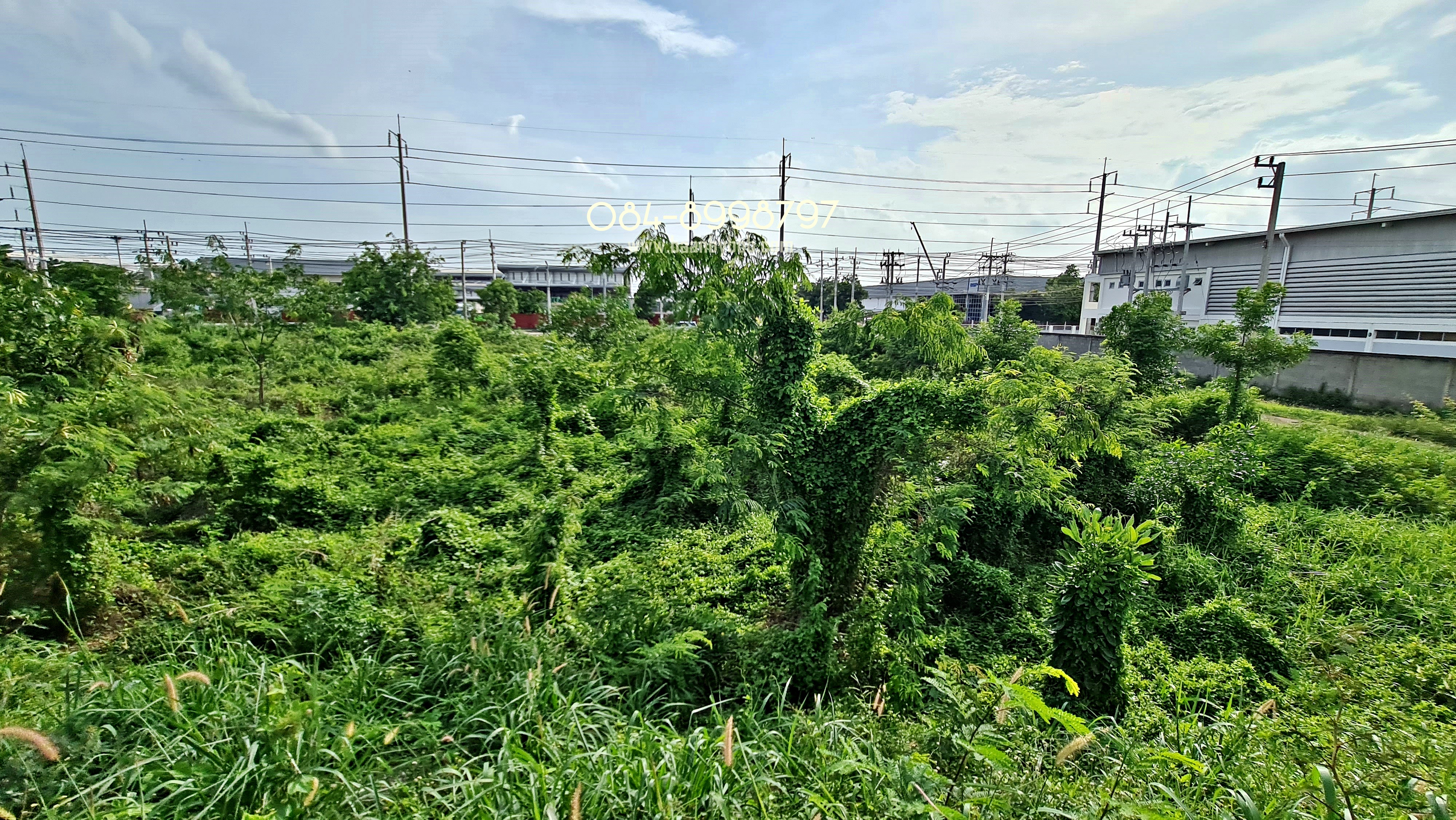 RealEstate 905- 12 (โรจนะ 911 วา BT-018L )
